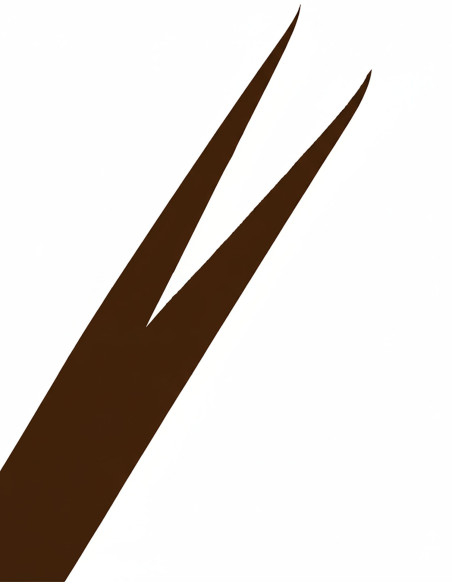 Cinto Medieval Galileo - Marrom escuro