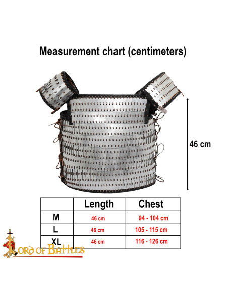 Armadura medieval de placas laminares...