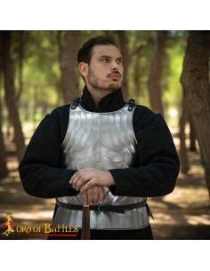 Cota de malha gótica medieval dos séculos XV-XVI em aço... 2