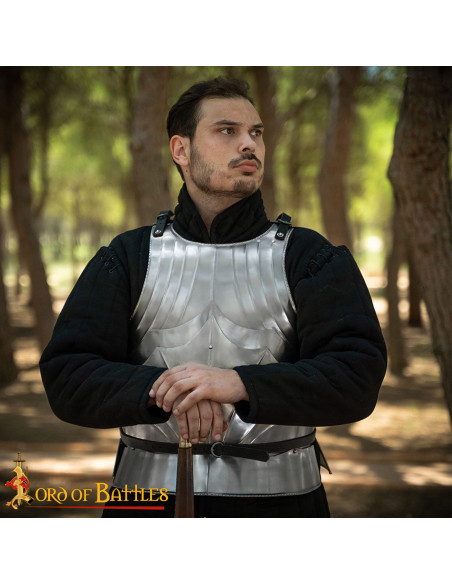 Cota de malha gótica medieval dos...