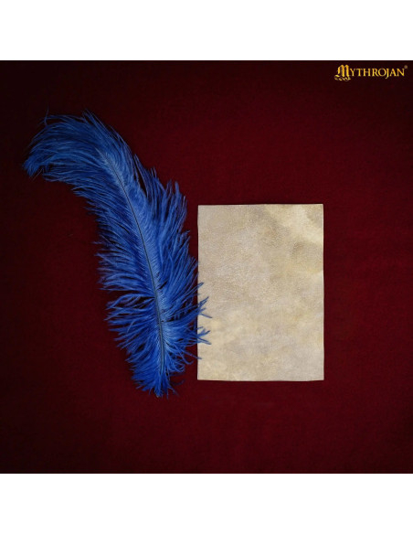 Folha Pergaminho medieval de pele de...