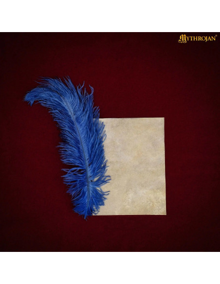 Folha Pergaminho medieval de pele de...