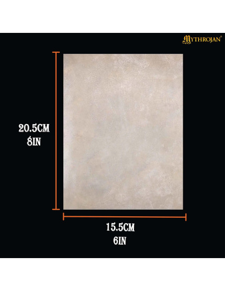 Folha Pergaminho medieval de pele de...