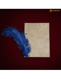 Folha de Pergaminho medieval de pele de cabra (20x28,5 cm). 2