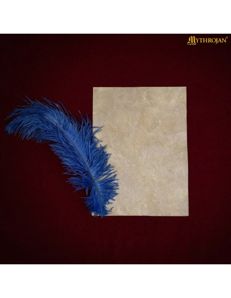 Folha de Pergaminho medieval de pele...