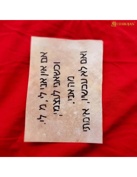 Folha de Pergaminho medieval de pele...