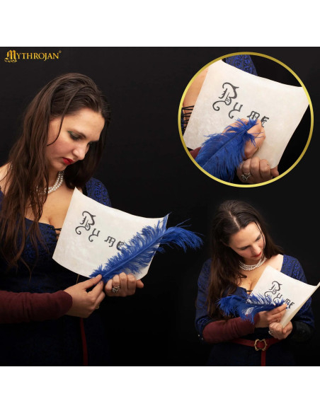 Folha de pergaminho medieval de couro...