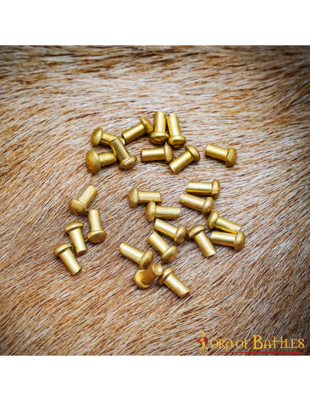 Conjunto de 50 rebites em forma de...