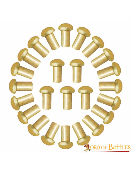 Conjunto de 50 rebites em forma de...