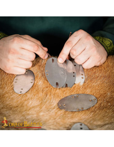 Conjunto de 25 placas laminares em aço doce para armaduras