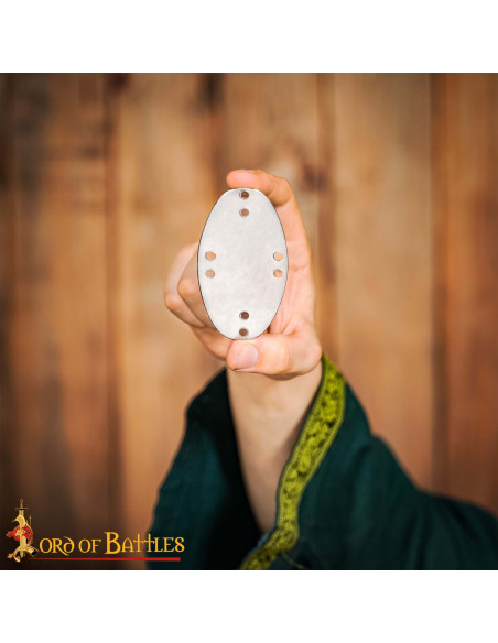 Conjunto de 25 placas laminares em...