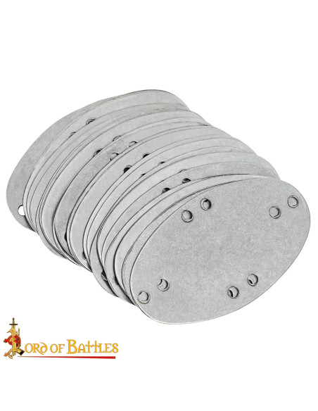 Conjunto de 25 placas laminares em...