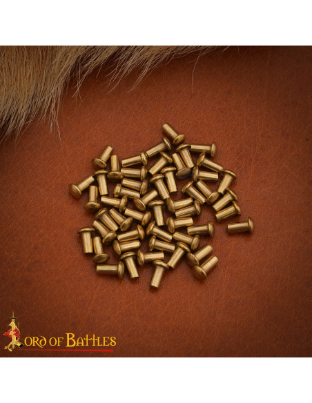 Conjunto de 25 rebites de cabeza de...