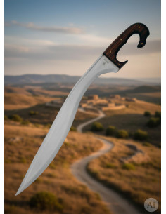 Falcata ibérica funcional artesanal com bainha, lâmina 60... 2