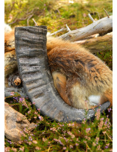 Chifre Viking de Búfalo para Recreação Histórica