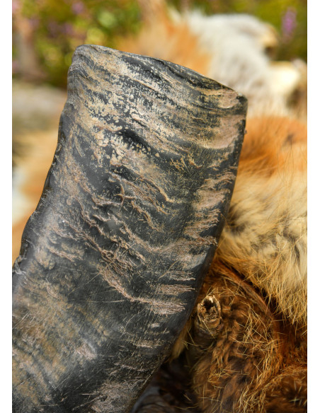 Chifre Viking de Búfalo para...