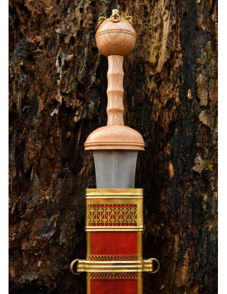 Espada Gladius Romano Dubravicaj com...