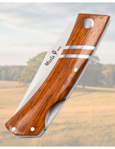 Canivete Dobrável Cocobolo 440C Lockback Precisa 2