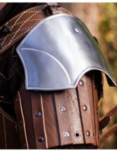 Ombreras medievais em aço modelo Strigo, acabamento polido 2