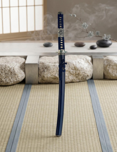 broquel de prata Wakizashi
