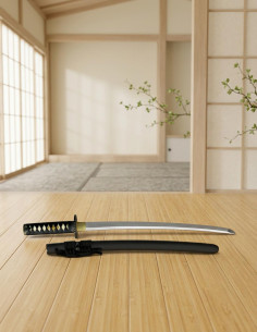 Wakizashi para a prática mais