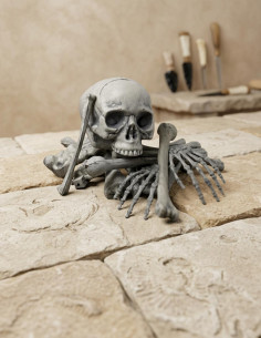 Ossos humanos, 18 peças