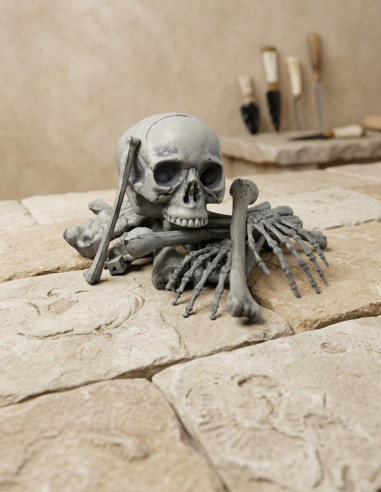 Ossos humanos, 18 peças