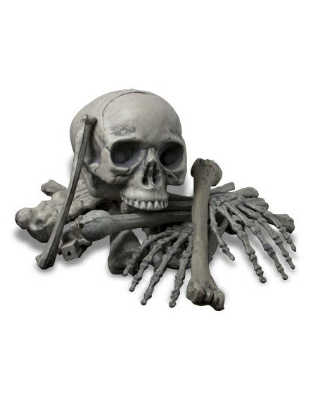 Ossos humanos, 18 peças