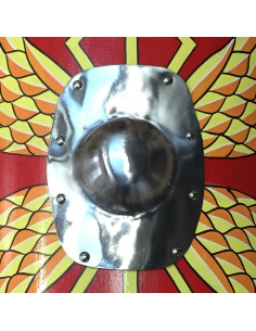 tartaruga escudo romano 2