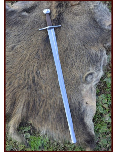 Espada de treinamento de uma mão 2