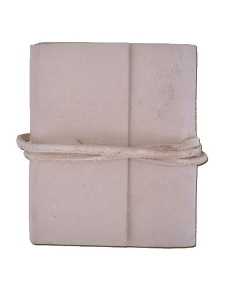 diário de bolso medieval