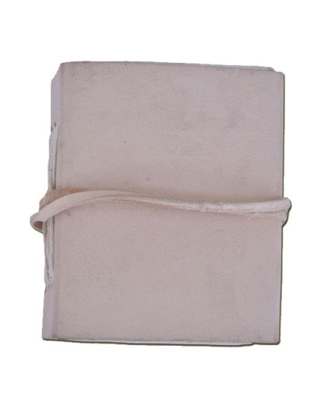 diário de bolso medieval