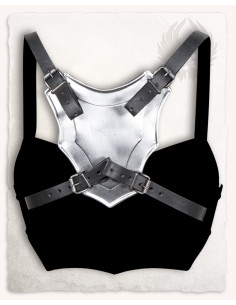 Armadura para mulheres em aço 2