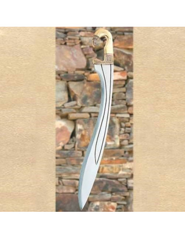 Falcata Circa Funcional