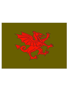 Bandeira do dragão vermelho medieval