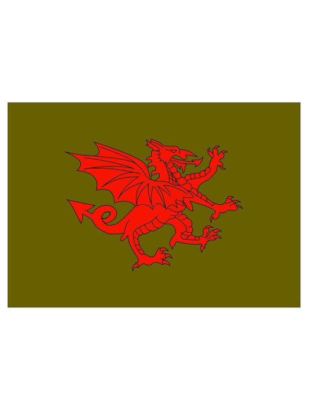 Bandeira do dragão vermelho medieval