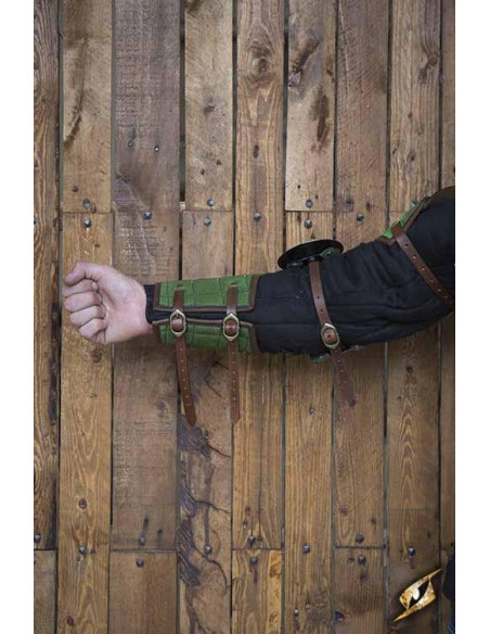 Paladino Proteção de Braço Completo