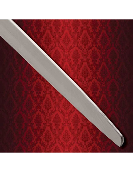 Espada de Combate Cavaleiro Errante