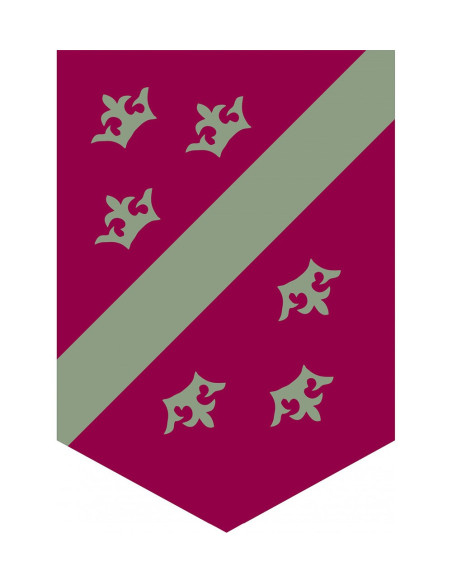 Bandeira Medieval Reign Coroas