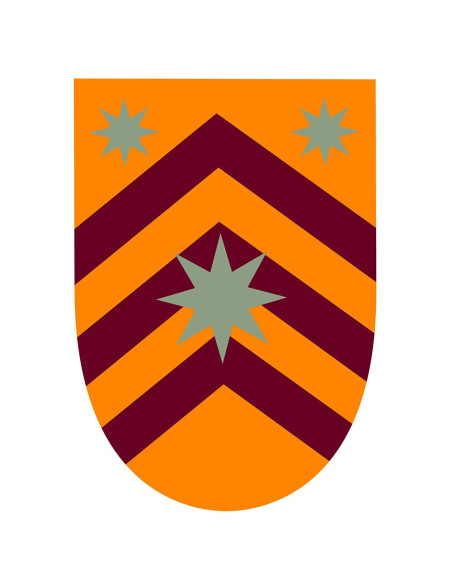 Bandeira medieval com estrelas em barras