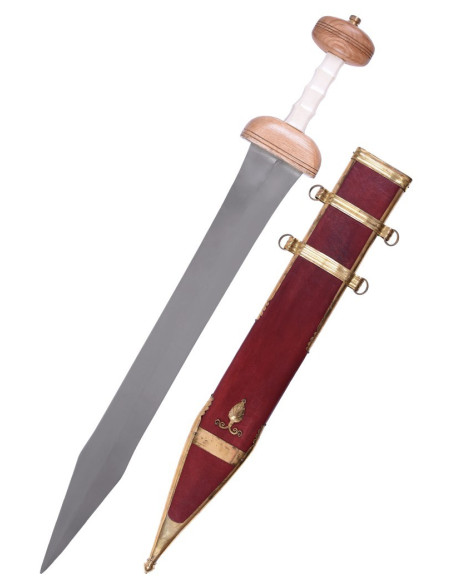 Espada romana Gladius Mainz com...