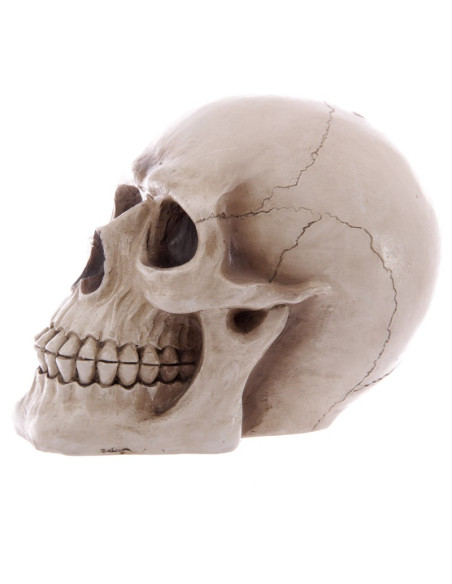 Cofrinho-Caveira para guardar as suas...