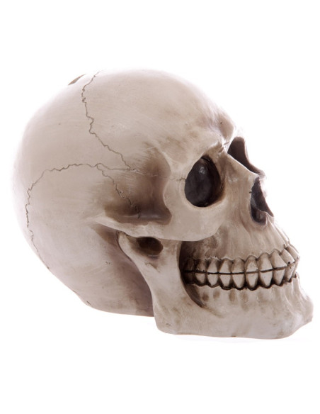 Cofrinho-Caveira para guardar as suas...