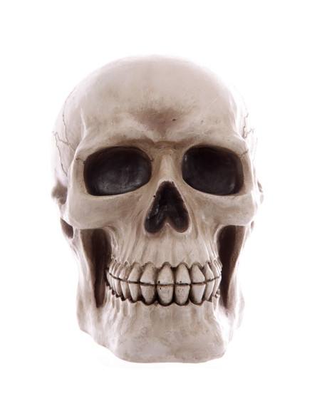 Cofrinho-Caveira para guardar as suas...