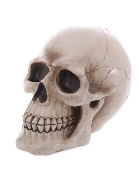 Cofrinho-Caveira para guardar as suas...