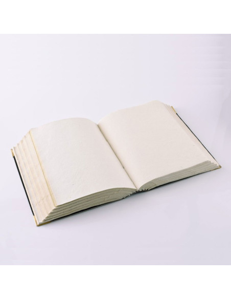 Diário Medieval com Pentagrama