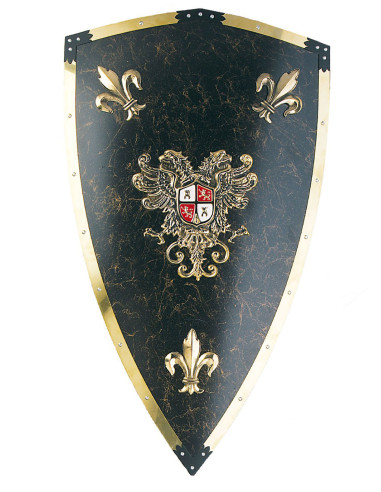 Brasão de armas de luxo Charles V
