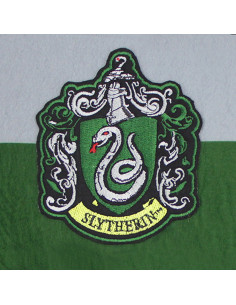 Flâmula da Casa Sonserina, Harry Potter 2