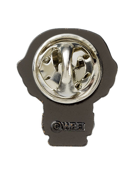 Pin por Ron Weasley, Harry Potter