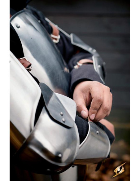 Guardas de braço medievais,...